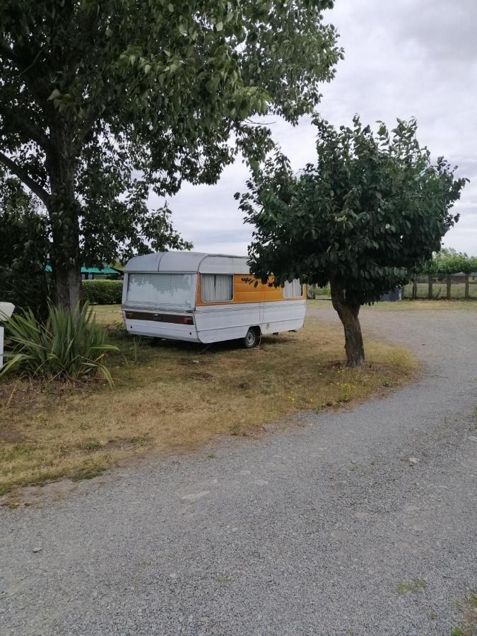 Rangiora Eco Holiday Park Fernside Bagian luar foto